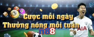 n88